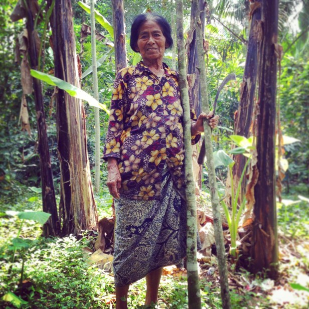 Kintamani farmer